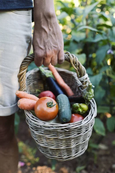 Giovane con un cesto pieno di verdure — Foto Stock