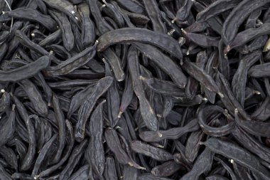 Olgun carobs yığını