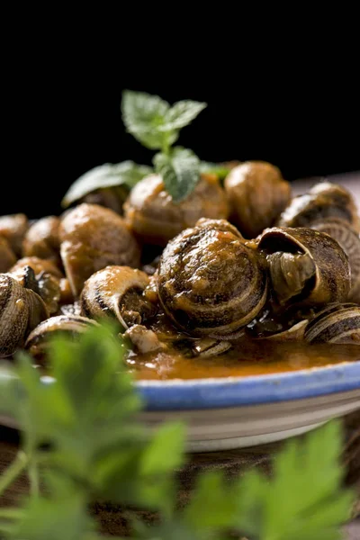 Spanish caracoles en salsa, cooked snails in sauce — Stock Photo, Image