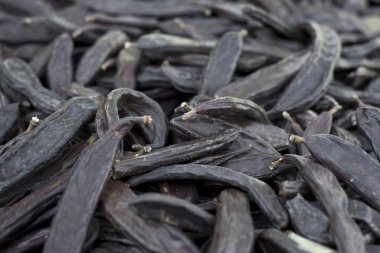 Olgun carobs yığını