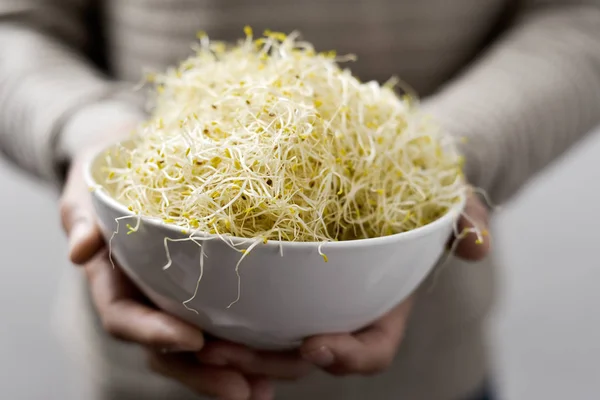 Homem com uma tigela de brotos de alfafa — Fotografia de Stock