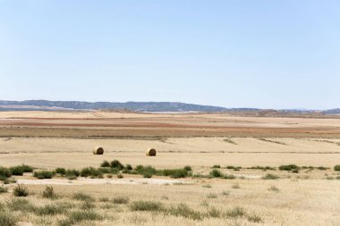 landscape of Los Monegros in Aragon, Spain clipart