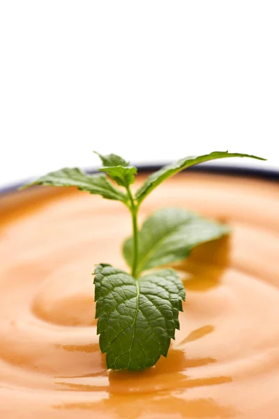 Porra antequerana, sopa de tomate similar al gazpacho — Foto de Stock