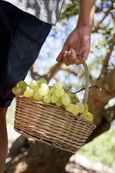 Jovem com um cesto cheio de fruta — Fotografia de Stock