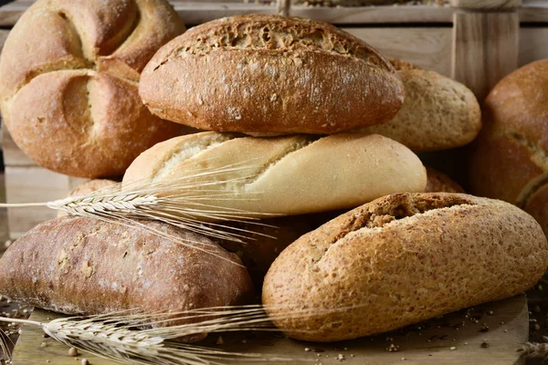 Асортимент різних хлібних рулетів — стокове фото