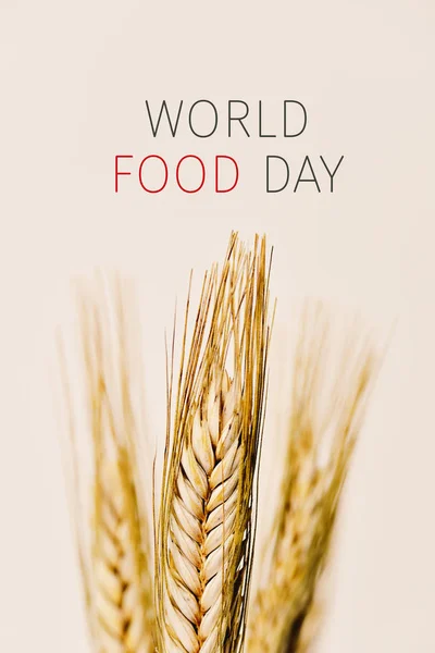 Szöveg világ élelmiszer nap és búza tüskék — Stock Fotó