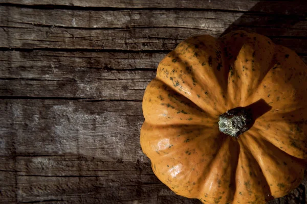 Pumpkin op een rustieke houten tafel — Stockfoto