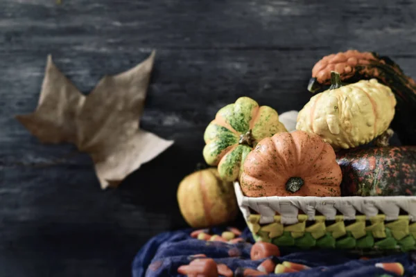 Panier avec différentes citrouilles et bonbons — Photo