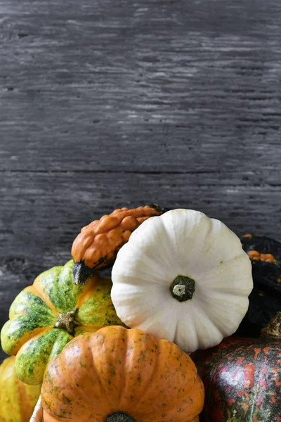 Assortiment van verschillende pumpkins — Stockfoto