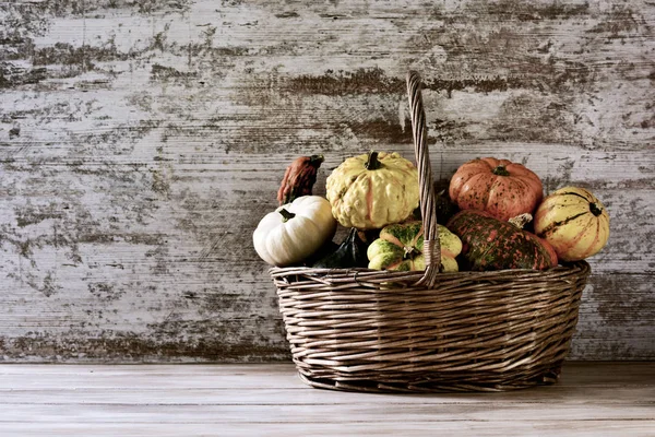 Cesta com uma variedade de abóboras diferentes — Fotografia de Stock