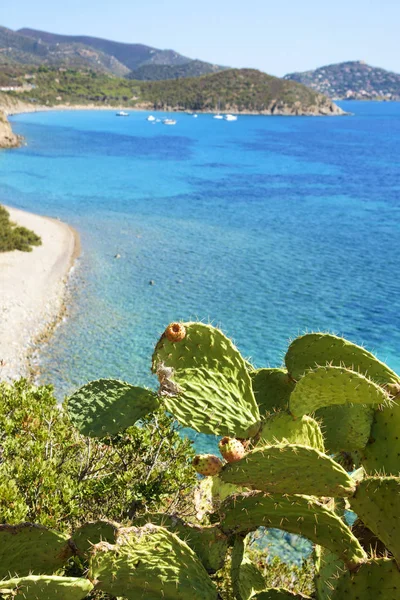 Is Canaleddus strand in Sardinië, Italië — Stockfoto