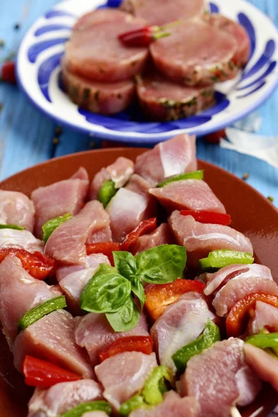 Surový Turecko maso špejle a vepřové medailonky — Stock fotografie