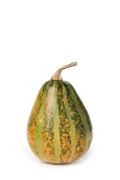 Pumpkin on a white background — Stock Photo, Image