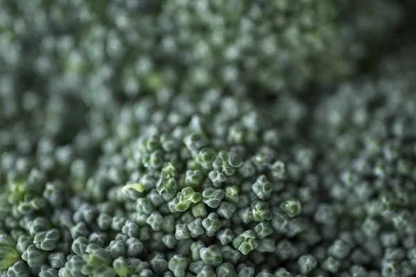 Közelkép a brokkoli — Stock Fotó