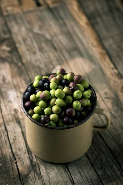 Arbequina olivy ze Španělska — Stock fotografie