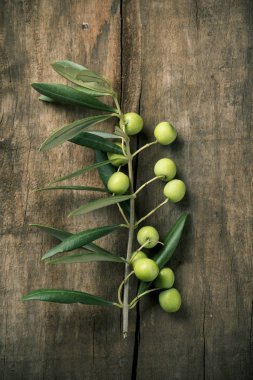 arbequina olives from Spain clipart