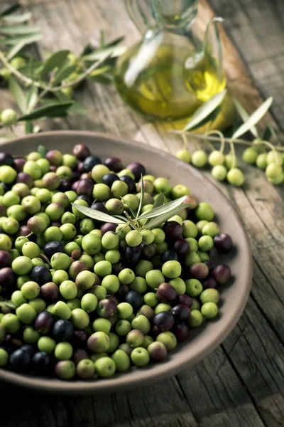 Aceitunas arbequinas de España — Foto de Stock