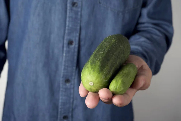 Große und kleine Gurke in der Hand eines Mannes — Stockfoto