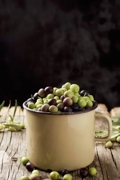 Arbequina olives from Spain — Stock Photo, Image