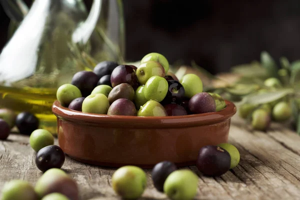 Aceitunas arbequinas de Cataluña, España — Foto de Stock