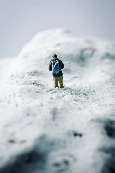 Minyatür hikker karlı bir peyzaj — Stok fotoğraf