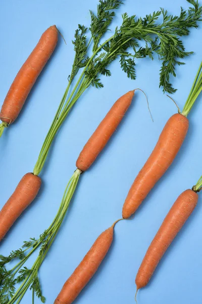 Zanahorias sobre fondo azul — Foto de Stock