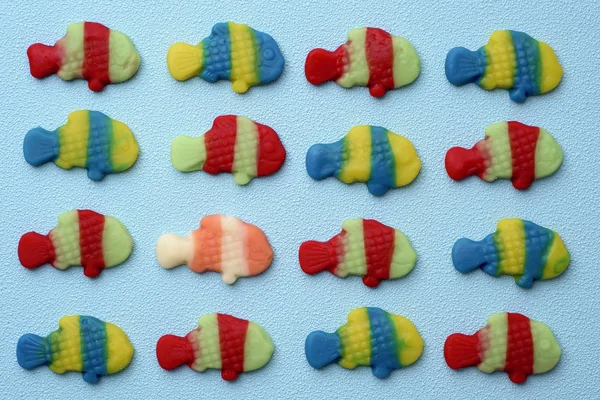 魚の形をしたグミキャンディ — ストック写真