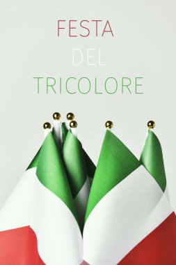 Festa del tricolore, İtalyan bayrağı günü