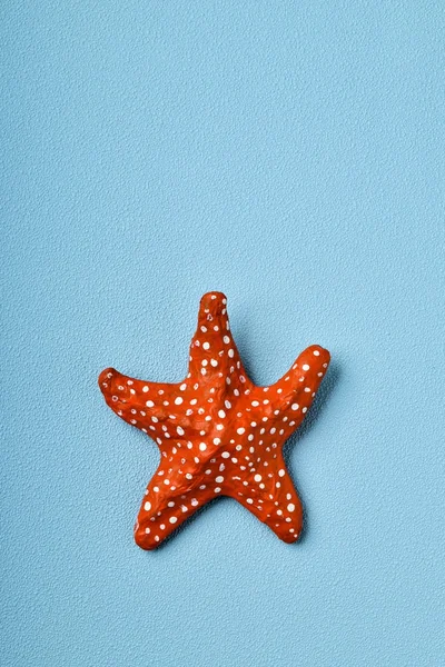 Starfish on a blue background — Stock Photo, Image