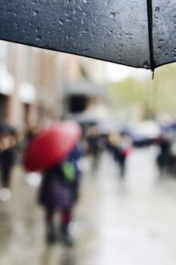 şemsiye ve insanlar yağmur altında