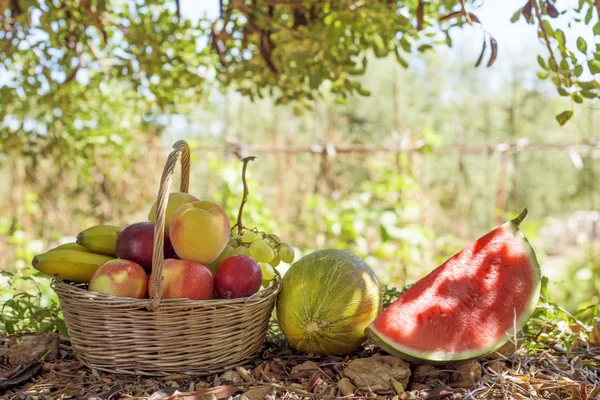 Πεπόνι, το καρπούζι και το ψάθινο καλάθι γεμάτο φρούτα — Φωτογραφία Αρχείου