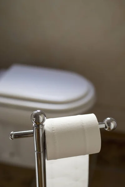 Wc-papier en toilet in een toilet — Stockfoto
