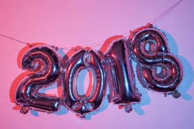 sayı 2018, yeni yıl olarak