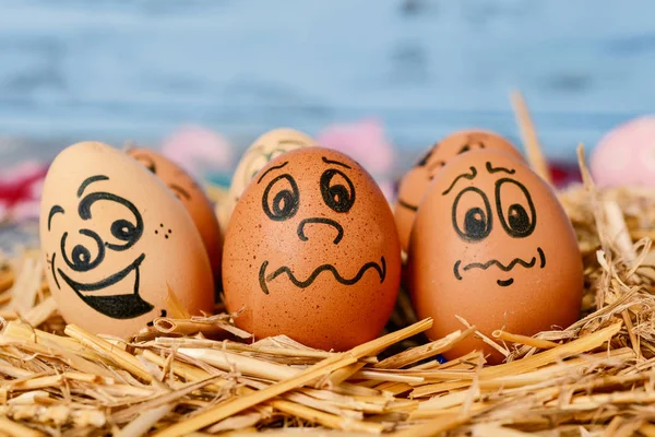 brown eggs with funny faces