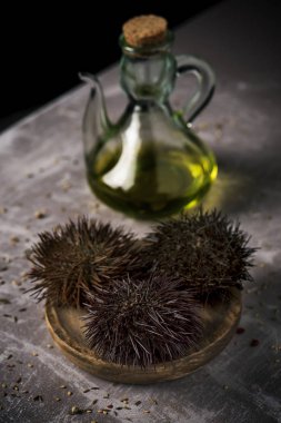 mediterranean sea urchins and olive oil clipart