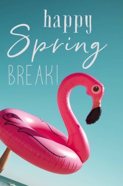 pembe flamingo ve metin mutlu Bahar tatili