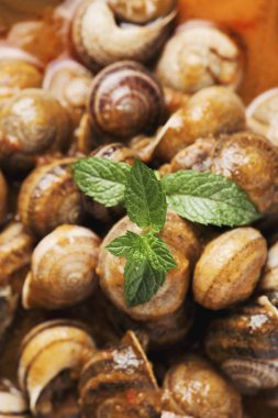 İspanyol caracoles tr salsa, salyangoz yağda pişmiş