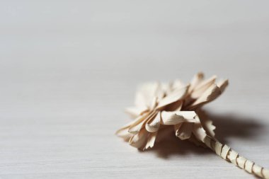 İspanyol örgülü palm Palm Pazar için