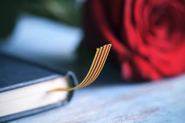 Rosa rossa, bandiera catalana e libro — Foto Stock