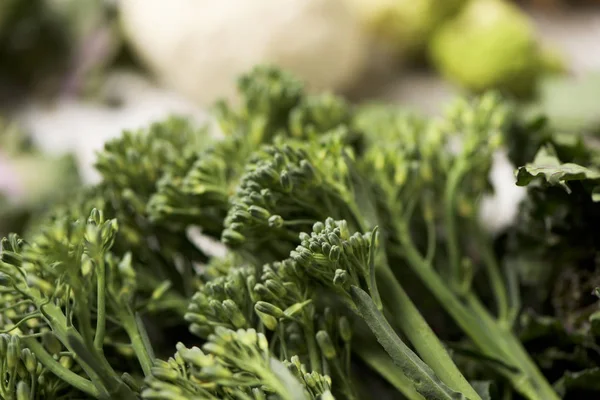 Raw stems of broccolini on a table — Stock Photo, Image