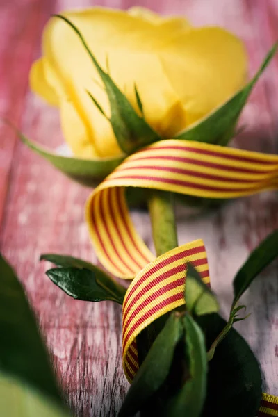 Rosa amarilla y bandera catalana — Foto de Stock