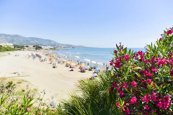 Romana beach Alcossebre, İspanya — Stok fotoğraf