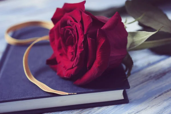 Red rose, catalan flag and boo — Stock Photo, Image