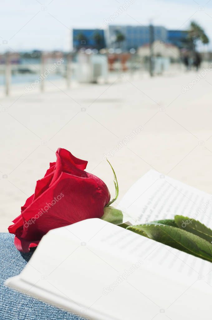 red rose and book for Saint George Day