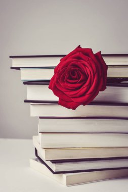 kırmızı gül ve kitaplar