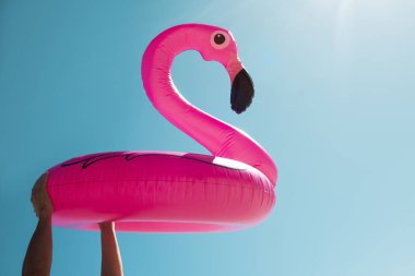 pembe flamingo Yüzme Yüzüklü adam