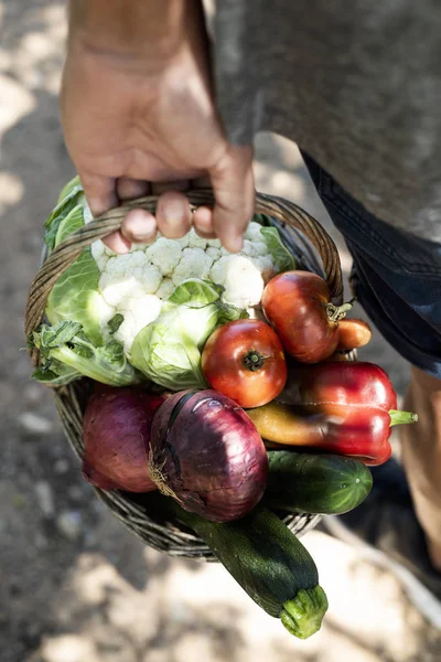 Closeup Young Caucasian Man Seen Rustic Basket Full Vegetables Freshly — Stock Photo, Image