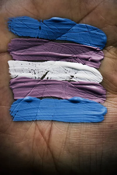 Bandeira transgênero na palma da mão do han — Fotografia de Stock