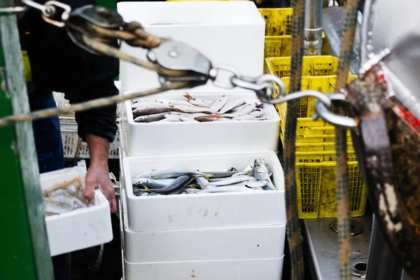 Pêcheur empilant des boîtes à bord — Photo