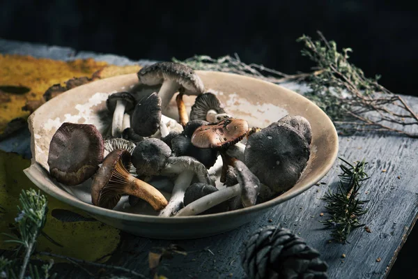 Funghi commestibili spagnoli su un tavolo — Foto Stock